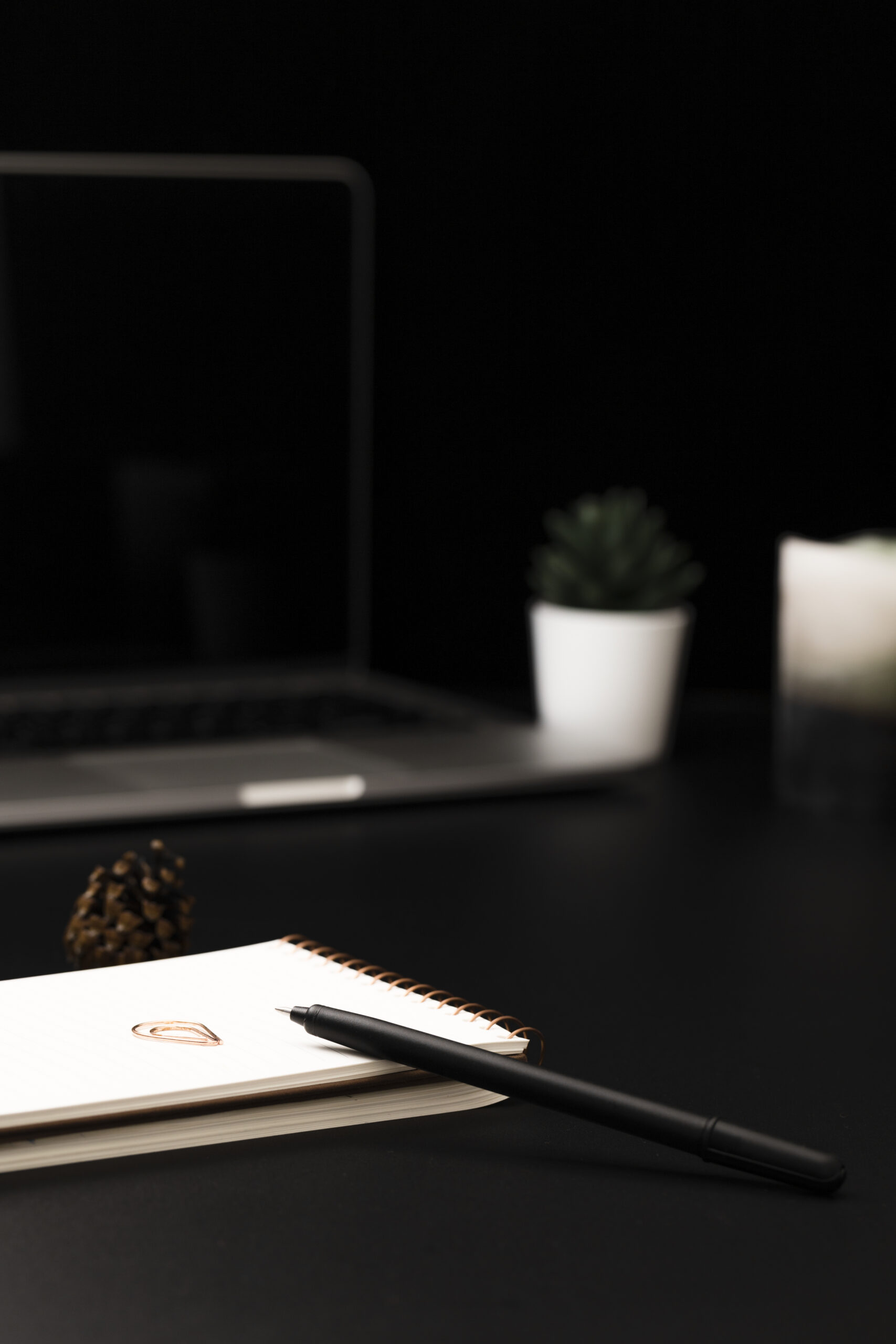 high-angle-desktop-with-succulents-notebook